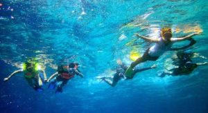 snorkeling menjangan bali
